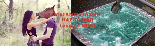 гидра Арсеньев