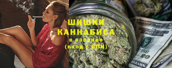 гидра Арсеньев